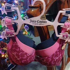 Juicy Couture Women's 2 Shades Of Pink and Blue Bra's Size 34B